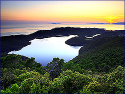 Mljet, mljet ferien, kroatien, ferien, appartement, appartements, zimmer, villa, pension, ferienhaus, ferienwohnung, insel, nationalpark, national park,sobra, pomena, soline, restaurant