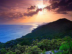 Mljet, mljet ferien, kroatien, ferien, appartement, appartements, zimmer, villa, pension, ferienhaus, ferienwohnung, insel, nationalpark, national park,sobra, pomena, soline, restaurant